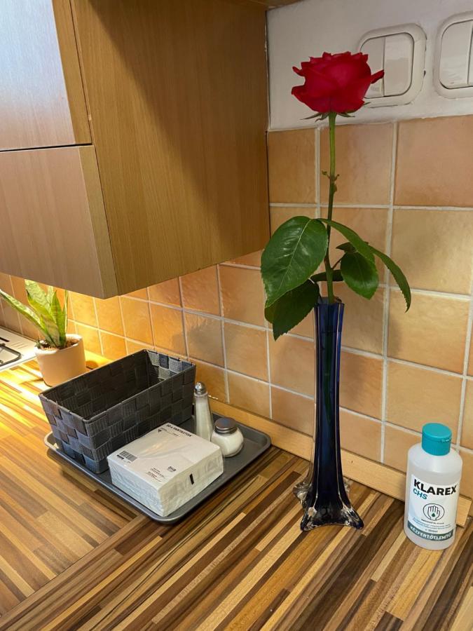 Magnolia Apartman Győr Eksteriør billede